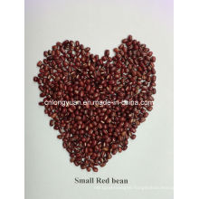 Chinese Beans Small Red Bean